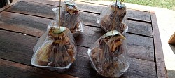 Takeaway Service